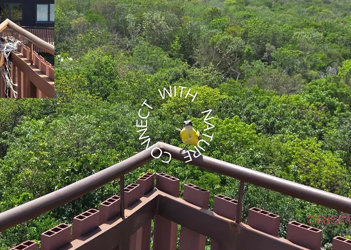 Hideaway In Zone Apartment Tulum